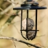 D2x using Tamron 150-600