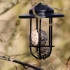 Anemometer with D3 using Sigma 150-600 with TC-1401