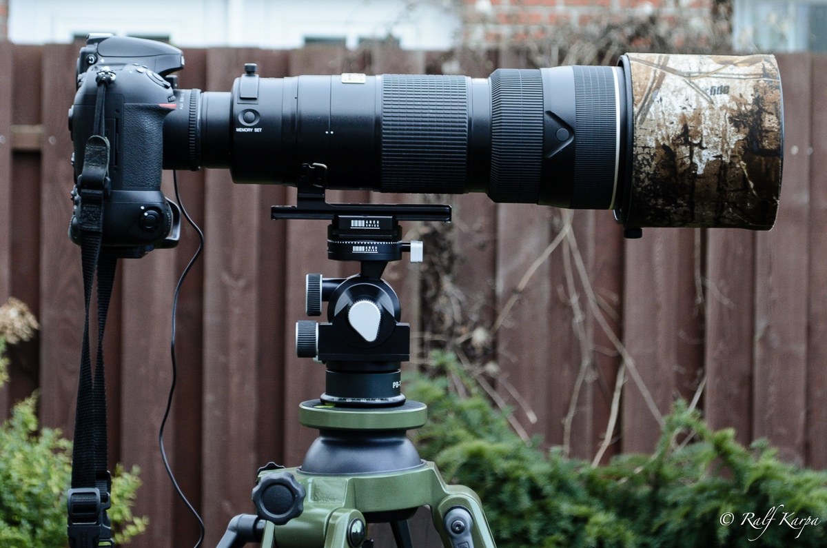 D800 with Nikkor 200-400 and TC-17