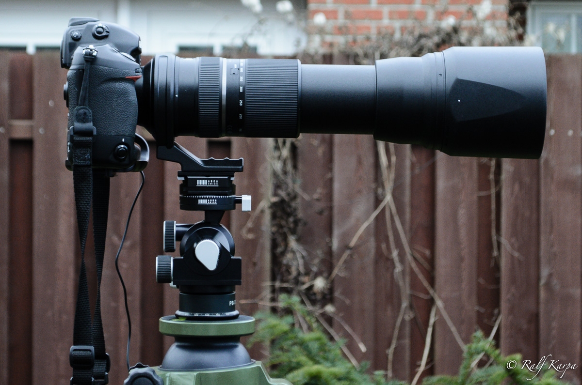 D3 with Tamron 150-600