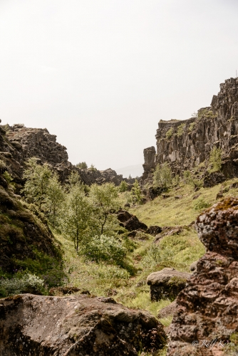 Þingvellir