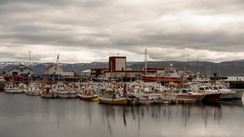 Patreksfjörður