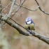 D7100-4321995-_DX01523